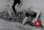 Standbild Schlacht von Hue Hue Vietnam, 1968, aus Sekunde 49 historischem Filmmaterial Videoclip 65675027012