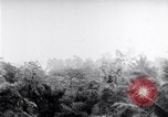 Standbild Schlacht von Hue Hue Vietnam, 1968, aus Sekunde 53 historischem Filmmaterial Videoclip 65675027012
