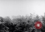 Standbild Schlacht von Hue Hue Vietnam, 1968, aus Sekunde 54 historischem Filmmaterial Videoclip 65675027012