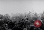 Standbild Schlacht von Hue Hue Vietnam, 1968, aus Sekunde 55 historischem Filmmaterial Videoclip 65675027012