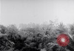 Standbild Schlacht von Hue Hue Vietnam, 1968, aus Sekunde 56 historischem Filmmaterial Videoclip 65675027012