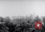 Standbild Schlacht von Hue Hue Vietnam, 1968, aus Sekunde 57 historischem Filmmaterial Videoclip 65675027012
