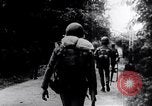 Image Bataille de la teinte La teinte Vietnam, 1968, de la seconde 50 séquences d'archives historiques vidéo 65675027013