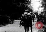Image Bataille de la teinte La teinte Vietnam, 1968, de la seconde 51 séquences d'archives historiques vidéo 65675027013