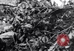 Image Tet Offensive Bataille de teinte La teinte Vietnam, 1968, de la seconde 15 séquences d'archives historiques vidéo 65675027014