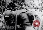 Image Tet Offensive Bataille de teinte La teinte Vietnam, 1968, de la seconde 23 séquences d'archives historiques vidéo 65675027014