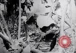 Image Tet Offensive Bataille de teinte La teinte Vietnam, 1968, de la seconde 25 séquences d'archives historiques vidéo 65675027014