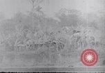 Image Bataille de teinte Hue Vietnam, 1968, de la seconde 53 séquences d'archives historiques vidéo 65675027016