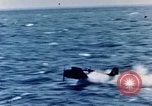 Image of a fighter jet rapidly sinking in water United States USA, 1965, second 33 stock footage video 65675027018