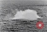 Image of a fighter jet rapidly sinking in water United States USA, 1965, second 61 stock footage video 65675027018