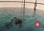 Standbild Unterwasser Luft entweichen Embolie United States USA, 1965, aus Sekunde 20 historischem Filmmaterial Videoclip 65675027022