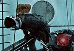 Standbild Unterwasser Luft entweichen Embolie United States USA, 1965, aus Sekunde 50 historischem Filmmaterial Videoclip 65675027022