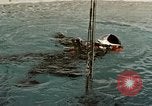 Standbild Unterwasser Luft entweichen Embolie United States USA, 1965, aus Sekunde 61 historischem Filmmaterial Videoclip 65675027022