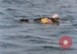 Image of jet pilot water rescue United States USA, 1965, second 24 stock footage video 65675027024