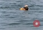 Image of jet pilot water rescue United States USA, 1965, second 28 stock footage video 65675027024