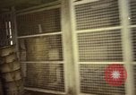 Image of M-151 armored jeep Saigon Vietnam, 1967, second 55 stock footage video 65675027027