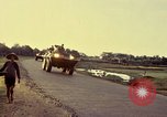 Immagine di V-100 portavalori Saigon Vietnam, 1967, secondo 31 filmato di repertorio 65675027028