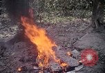 Image of United States soldiers Vietnam, 1967, second 10 stock footage video 65675027031