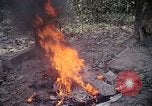 Image of United States soldiers Vietnam, 1967, second 11 stock footage video 65675027031