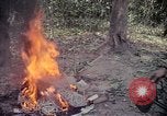 Image of United States soldiers Vietnam, 1967, second 13 stock footage video 65675027031