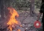 Image of United States soldiers Vietnam, 1967, second 14 stock footage video 65675027031