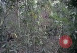 Image of United States soldiers Vietnam, 1967, second 47 stock footage video 65675027031
