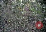 Image of United States soldiers Vietnam, 1967, second 48 stock footage video 65675027031