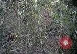 Image of United States soldiers Vietnam, 1967, second 49 stock footage video 65675027031