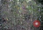 Image of United States soldiers Vietnam, 1967, second 52 stock footage video 65675027031