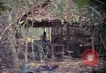 Image of United States soldiers Vietnam, 1967, second 58 stock footage video 65675027031
