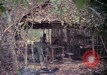 Image of United States soldiers Vietnam, 1967, second 59 stock footage video 65675027031