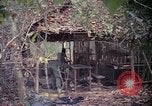 Image of United States soldiers Vietnam, 1967, second 60 stock footage video 65675027031