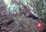 Image of United States soldiers Vietnam, 1967, second 61 stock footage video 65675027031