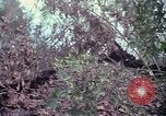Image of United States soldiers Vietnam, 1967, second 62 stock footage video 65675027031