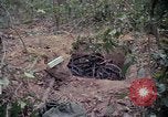 Image of United States soldiers Vietnam, 1967, second 18 stock footage video 65675027032