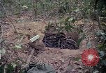 Image of United States soldiers Vietnam, 1967, second 19 stock footage video 65675027032
