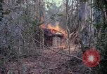 Image of United States soldiers Vietnam, 1967, second 23 stock footage video 65675027032