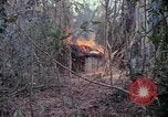 Image of United States soldiers Vietnam, 1967, second 25 stock footage video 65675027032