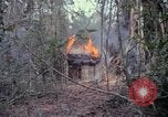 Image of United States soldiers Vietnam, 1967, second 26 stock footage video 65675027032