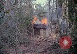 Image of United States soldiers Vietnam, 1967, second 28 stock footage video 65675027032