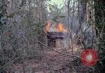 Image of United States soldiers Vietnam, 1967, second 29 stock footage video 65675027032