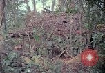 Image of United States soldiers Vietnam, 1967, second 32 stock footage video 65675027032