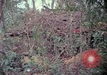 Image of United States soldiers Vietnam, 1967, second 38 stock footage video 65675027032