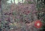 Image of United States soldiers Vietnam, 1967, second 42 stock footage video 65675027032