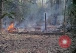 Image of United States soldiers Vietnam, 1967, second 25 stock footage video 65675027033