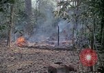 Image of United States soldiers Vietnam, 1967, second 26 stock footage video 65675027033
