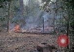 Image of United States soldiers Vietnam, 1967, second 28 stock footage video 65675027033