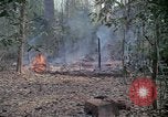 Image of United States soldiers Vietnam, 1967, second 30 stock footage video 65675027033