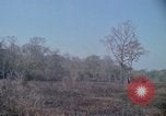 Image of United States soldiers Vietnam, 1967, second 32 stock footage video 65675027033
