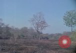 Image of United States soldiers Vietnam, 1967, second 33 stock footage video 65675027033